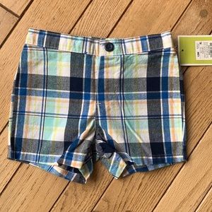 12 month plaid shorts